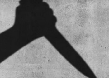 Representational image (pixabay)