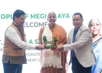 Sitharaman backs UNESCO bid for Meghalaya’s living root bridges
