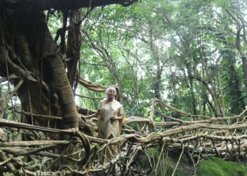 Modi, Sitharaman hail Meghalaya as model for self-reliant India