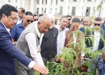 Tree plantation at Meghalaya Assembly highlights climate commitment