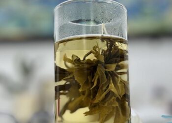 Assam’s Woolah Tea secures patent for India’s first bagless tea