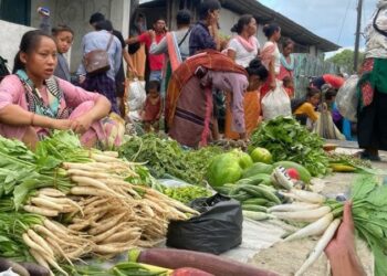 Arunachal Pradesh govt approves resumption of weekly markets with new regulations