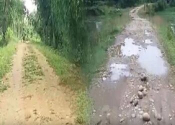 600-year-old Ahom-era road resurfaces in Assam’s Tinsukia, locals urge govt for preservation