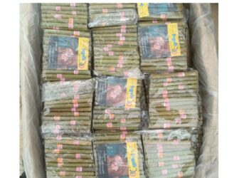 Mizoram: Security forces seize contraband worth Rs 1.44 cr; 11 persons arrested