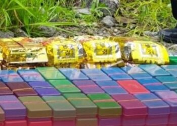 Mizoram Police seize drugs worth Rs 350 crore in major anti-narcotics operation