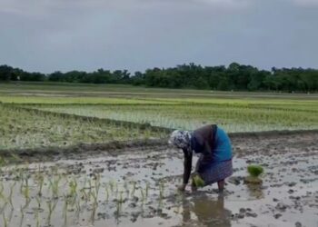 Over 20 lakh Assam farmers receive Rs 422 crore under PM-KISAN scheme