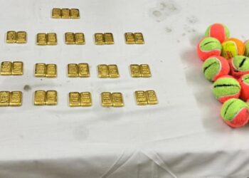 BSF seizes gold worth Rs 5 crore in West Bengal near India-Bangladesh border