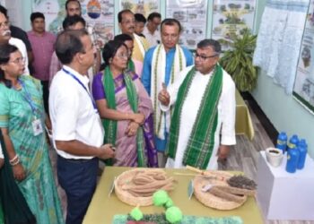 Centre authorizes Tripura to certify paddy seeds for Manipur, Mizoram