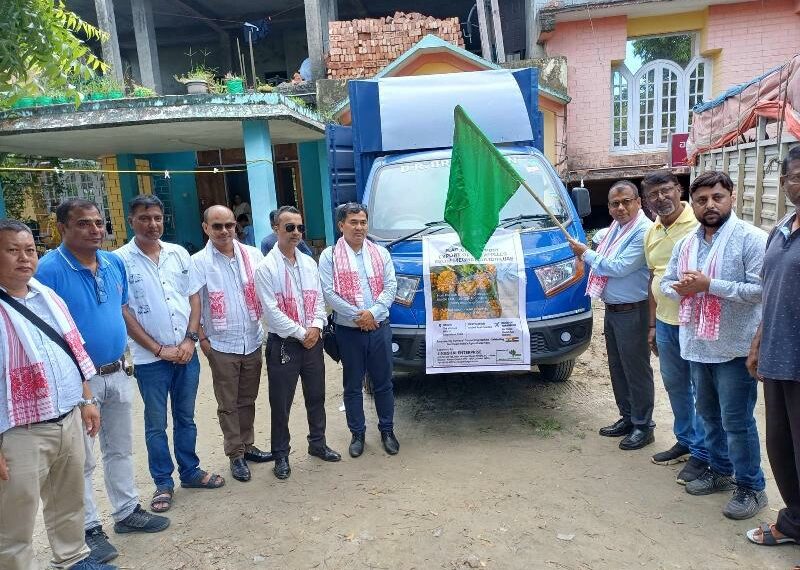 Assam’s organic pineapples land in UAE in major agricultural export push