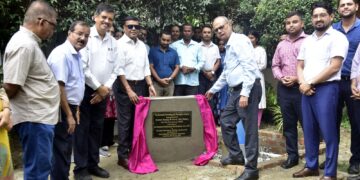 Rain water harvesting