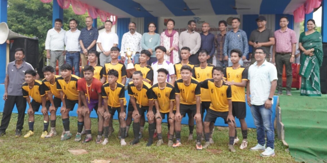 World Elephant Day marked with inter-state football matches in Assam