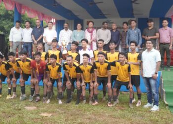 World Elephant Day marked with inter-state football matches in Assam