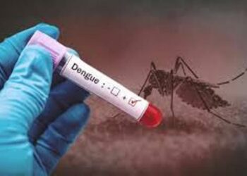 Arunachal Pradesh: Namsai administration declares Chongkham block as ‘Dengue outbreak block’