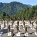 Arunachal Pradesh: Indian Army conducts yoga training for combatants in West Siang
