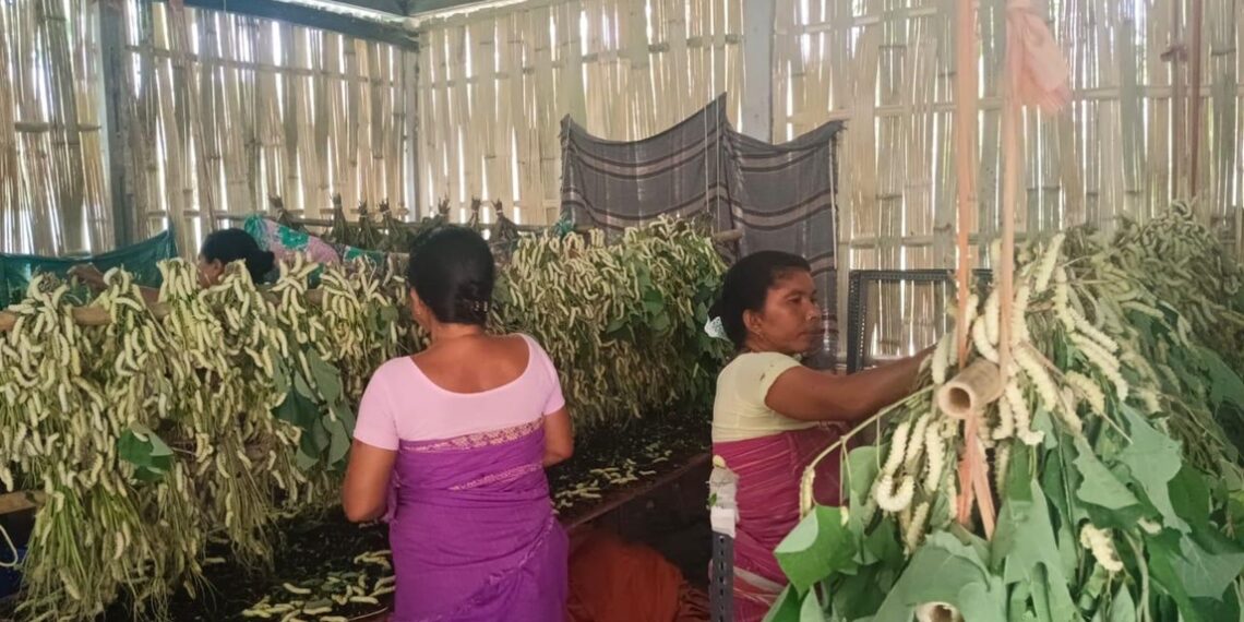 Bodoland spins a new silk economy, blending heritage with opportunity