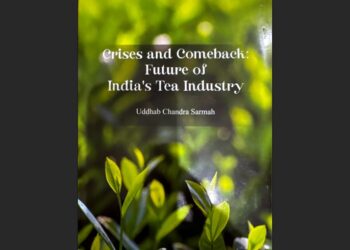 A Blueprint for India’s Tea Renaissance