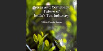 A Blueprint for India’s Tea Renaissance