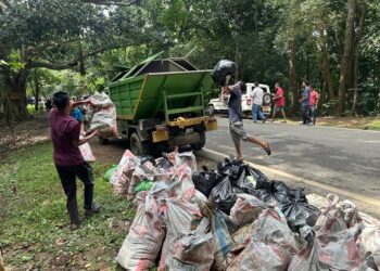 Meghalaya: Authorities, locals join forces in massive cleanup along Tura-Damalgre road
