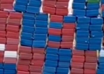 Drugs worth nearly Rs 30 crore seized in Assam and Mizoram