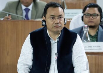 Meghalaya reviews Japanese Encephalitis cases, Smart City projects show steady progress