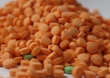 Drugs worth over Rs 143 crore seized in Mizoram and Manipur; three arrested