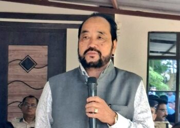 Nagaland monitors Assam’s eviction drive in disputed border areas: Dy CM Patton