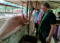 Assam’s Bodoland aims to revolutionize pig farming to achieve self-sufficiency