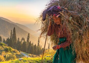 Rebuilding women’s jobs in the Himalayan hinterland