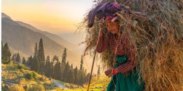 Rebuilding women’s jobs in the Himalayan hinterland
