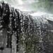 Nagaland reports widespread damage to infrastructure amid heavy rainfall