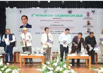 Mizoram CM Lalduhoma inaugurates Thenzawl Peace City celebration