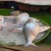 Durga Puja gift: First consignment of hilsa fish from Bangladesh reaches India