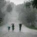 Heavy rain lashes Sikkim; State Disaster Management Authority issues advisory
