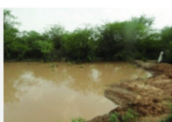 Tripura constructs 443 earthen check dams to support farming and fish production