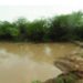 Tripura constructs 443 earthen check dams to support farming and fish production