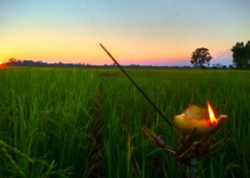 HM Amit Shah, Nadda, Governor, CM greet people of Assam on Kati Bihu