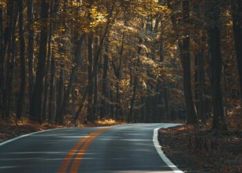 Representational image (pixabay)