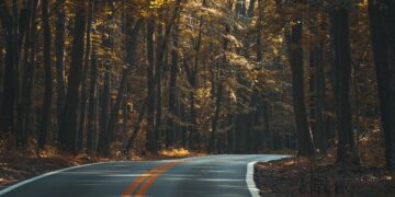 Representational image (pixabay)