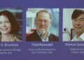 Brunkow, Ramsdell and Sakaguchi win 2025 Nobel Prize in medicine for immune system research