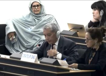 RRAG urges OHCHR to investigate killings of indigenous people, attacks on minorities in Bangladesh