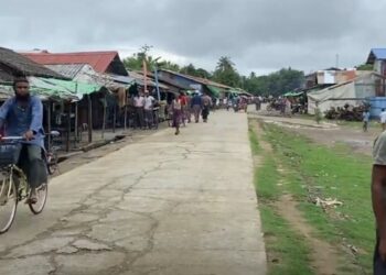 Bangladesh security agencies spot Myanmar military junta reconnaissance plane over Rakhine State