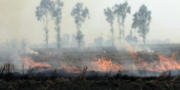 India’s farm policies behind bad air, unhealthy diet, water crisis