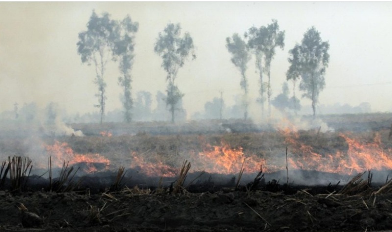 India’s farm policies behind bad air, unhealthy diet, water crisis