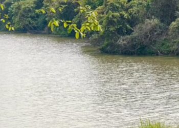 CEC gives Assam government four weeks to reply over waste site near Kaziranga