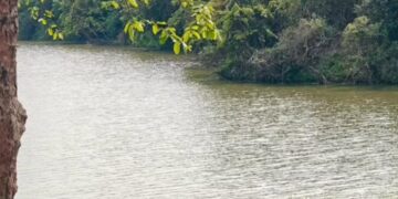 CEC gives Assam government four weeks to reply over waste site near Kaziranga