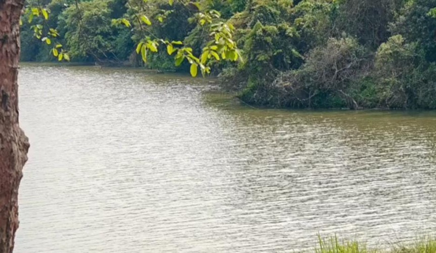 CEC gives Assam government four weeks to reply over waste site near Kaziranga