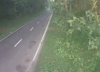 35-km corridor near Assam’s Kaziranga raises fear of irreversible ecological damage