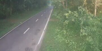 35-km corridor near Assam’s Kaziranga raises fear of irreversible ecological damage