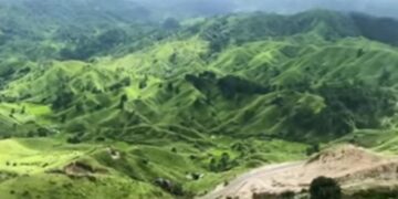 Meghalaya’s Markham Valley ravaged by rampant hill-cutting; govt, KHADC urged to act
