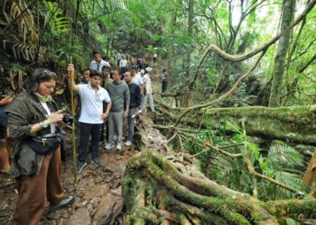 Scindia visits Meghalaya’s iconic living root bridges, calls them a gift of nature